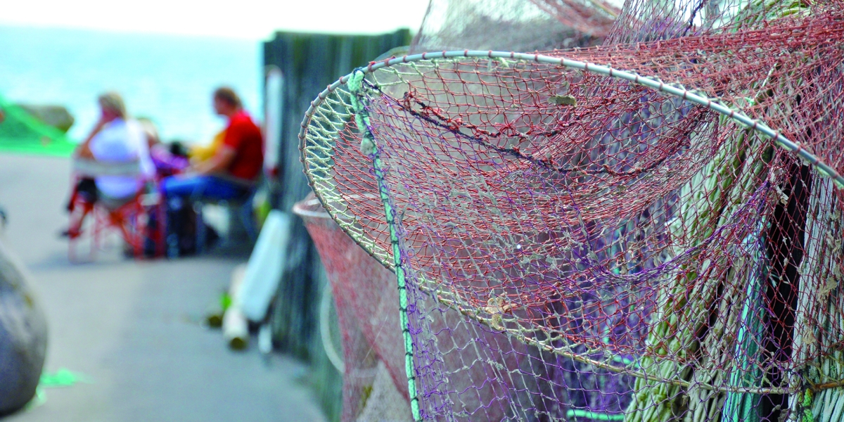 Visnetten hangen te drogen